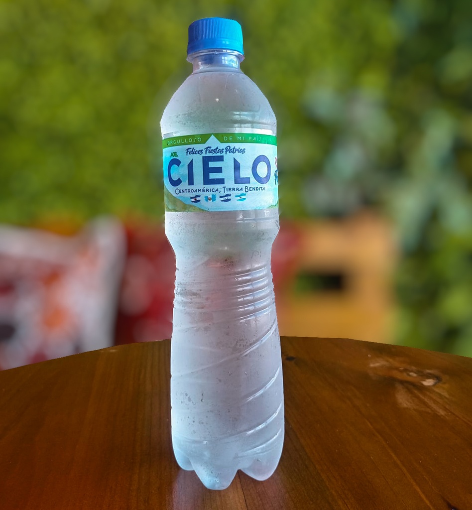 Agua Pura (botella)